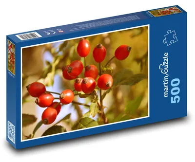Obrázek produktu pro martinpuzzle - Puzzle 500 - Šípkový keř
