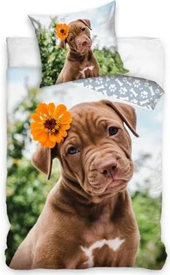 Produktbild von Baumwollbettwäsche 160x200 Labrador Hund