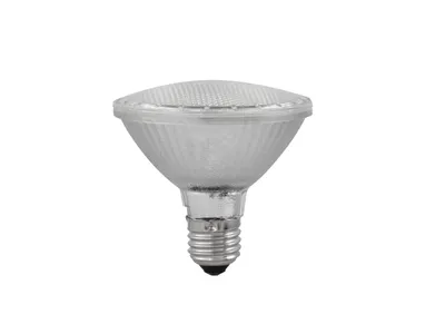 Produktbild von Omnilux Par-30 230V Smd 6W E-27 Led 6500K
