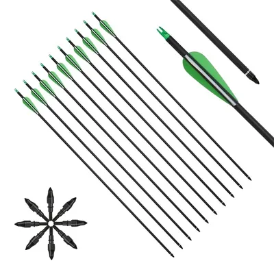 Imagen del producto de Tiro con arco: flechas, material de carbono, puntas desmontables, paquete de 12 unidades