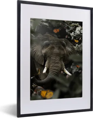 Produktbild von MuchoWow® MuchoWow® Gerahmtes Poster Elefant - Schmetterling - Dschungel 30x40 cm - Poster mit zchwarzem Bilderrahmen - Wandposter Schlafzimmer