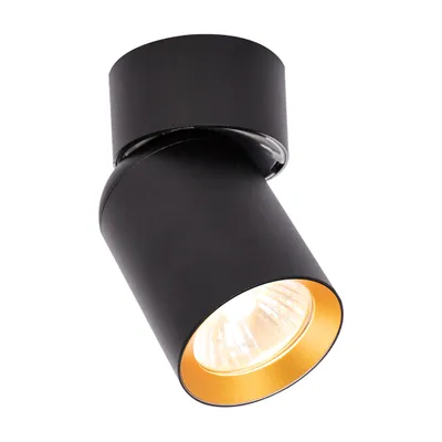 Produktbild von Deckenstrahler ANDY 1xGU10 schwarz gold Milagro