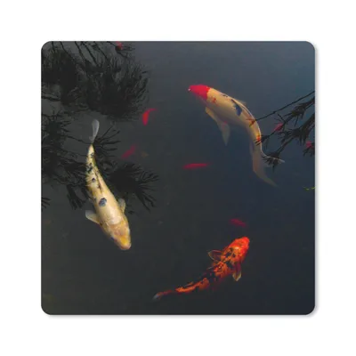 Produktbild von MuchoWow® Mauspad Mousepad Eine Gruppe von Koi-Karpfen, die im Kreis schwimmen 30x30 cm - Mousepads - Maus Mat - Pad - Mausunterlage - Gaming