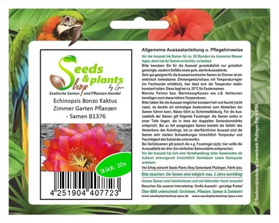 Produktbild von 10x Echinopsis Bonzo Kaktus Zimmer Garten Pflanzen - Samen B1376