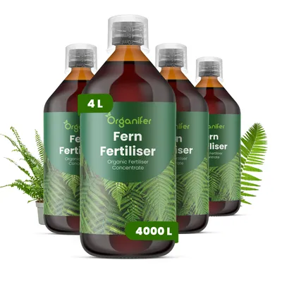 Obrázek produktu pro Papraď Tekuté Hnojivo 4x1 L – 3-4-3 NPK – Pro Paprade – Pro Zdravé Listy & Bujný Růst – Podporuje Kořeny & Vitalitu – Organifer