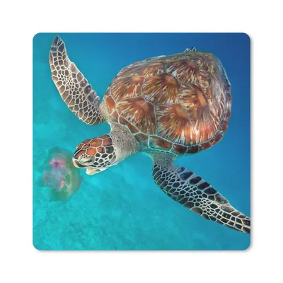 Produktbild von MuchoWow® Mauspad Mousepad Grüne Schildkröte mit Qualle 30x30 cm - Mousepads - Maus Mat - Pad - Mausunterlage - Gaming