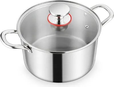 Image de Homikit Marmite en acier inoxydable 20cm avec couvercle en verre, 3,3L Marmite à soupe à induction