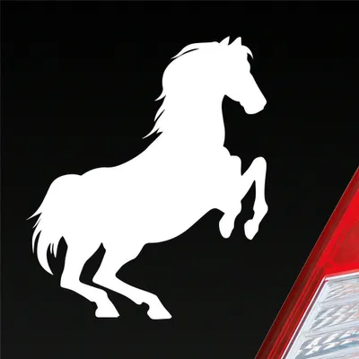 Produktbild von Auto Aufkleber Pferd Horse Pony Pferdeliebhaber Reiten 10x11,5 cm Weiss Glanz Sticker Heckscheibenaufkleber