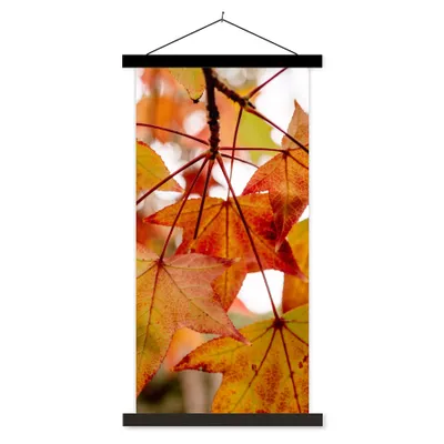 Produktbild von MuchoWow® Textilposter Herbstzweige - Blätter - Jahreszeiten - Landleben 60x120 cm mit schwarzem Rahmen - Magnete