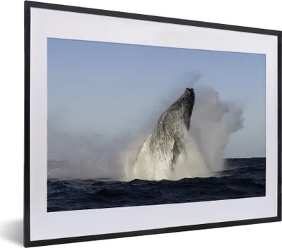 Produktbild von MuchoWow® MuchoWow® Gerahmtes Poster Wal - Wasser - Südafrika 40x30 cm - Poster mit zchwarzem Bilderrahmen - Bilderrahmen - Poster im Rahmen