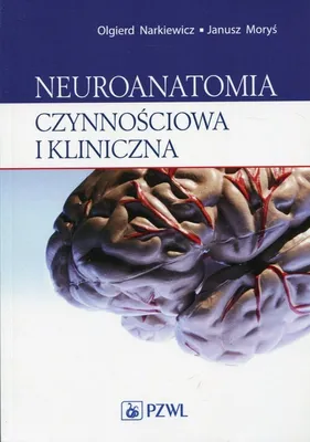 Zdjęcie produktu dla Neuroanatomia czynnościowa i kliniczna PZWL