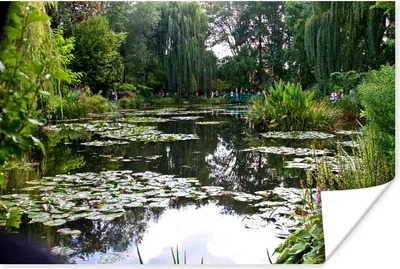 Produktbild von MuchoWow® Poster Die Sonne spiegelt sich auf dem Wasser in Monets französischem Garten in Giverny 90x60 cm - Schlafzimmer