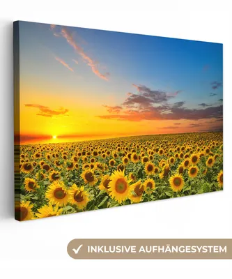 Obrázek produktu pro OneMillionCanvasses® - Obraz na plátně - Květiny - Slunečnice - Západ slunce - Noc - Oranžová, nástěnná malba, nástěnné dekorace obrazy obývací pokoj, 60x40cm