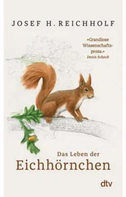 Produktbild von Das Leben der Eichhörnchen