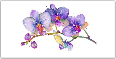 Produktbild von Coloray Küchenrückwand 120x60 Spritzschutz aus Glas - Gemälde Blumenzweig
