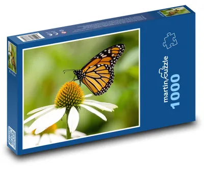 Zdjęcie produktu dla Puzzle 1000 Motyl na kwiecie - martinpuzzle