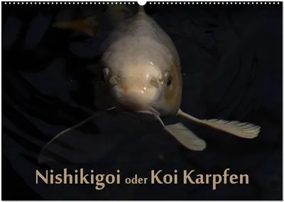 Produktbild von Nishikigoi oder Koi Karpfen (Wandkalender 2026 DIN A2 quer), CALVENDO Monatskalender