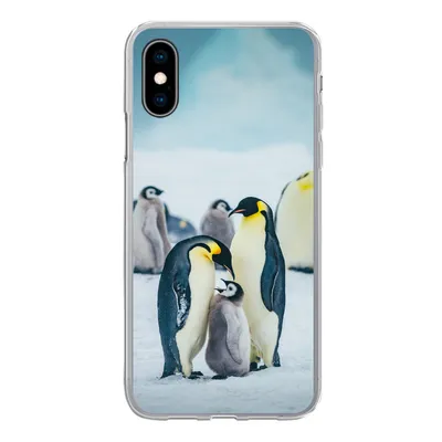 Produktbild von MuchoWow® Handyhülle Schutzhülle Hülle für iPhone X Kaiserpinguin-Küken wird gefüttert Silikon Softcase Handy Hülle - Handyhülle