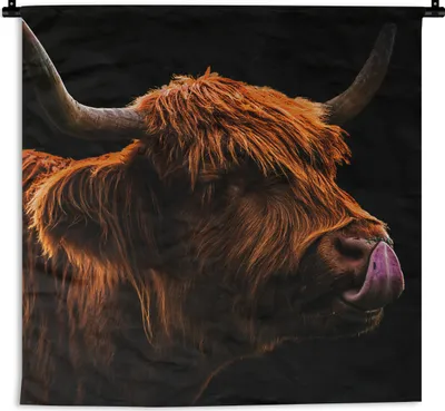 Produktbild von MuchoWow® Wandteppich Wandbehang Schottisches Hochlandrind - Zunge - Nase 90x90 cm Tapisserie Dekoration Wandtuch - Wandaufhänger