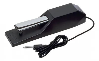 Obrázok produktu pre Korg DS-1H
