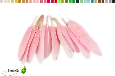 Produktbild von 10 Entenfedern ca. 10-15cm, Farbauswahl:rosa 148