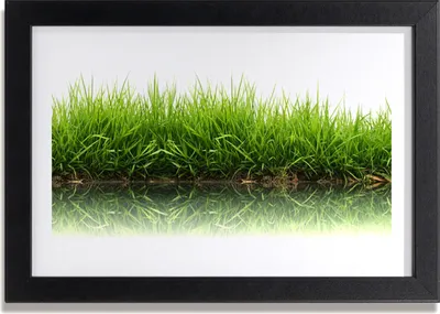Produktbild von Bild 30x20 MDF-Rahmen Wandkunst Gras Natur Pflanze