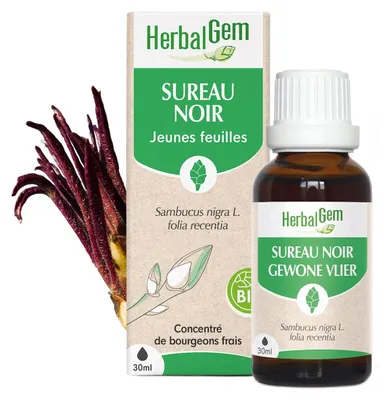 Produktbild von Herbalgem - Schwarzer Holunderknospenextrakt - - 30 ml