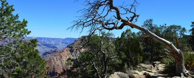 Produktbild von hansepuzzle 43768 - Grand Canyon Panorama-Puzzle 2000 Teile | Natur Puzzle, 2028 Teile, Natur, 60,0 x 46,0cm mit hochwertiger Aufbewahrung, Kartonbox & Beutel