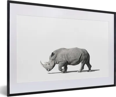 Produktbild von MuchoWow® Gerahmtes Poster Rhinozeros - Tiere - Weiß 60x40 cm - Poster mit Schwarzem Bilderrahmen Wandposter Rahmen Foto Bilder - Schlafzimmer - Plakat in Rahmen - Drucken