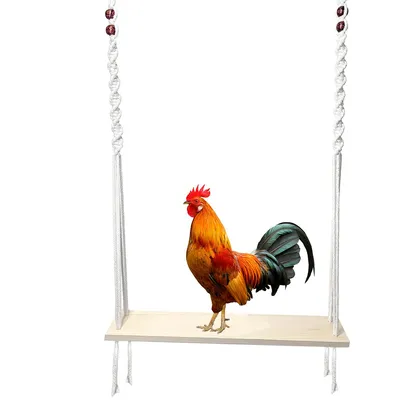 Produktbild von Hühnerschaukel 40x8x120cm, Hühnerschaukel für Hühnerstall, Hühnerspielzeug für Hennen und Hähne, Natürliches, handgefertigtes Hühnerstallzubehör