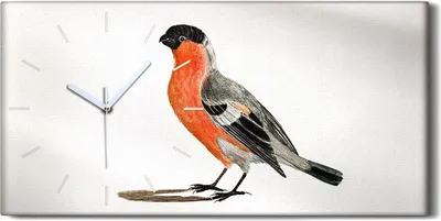 Produktbild von Dekor Leinwand Uhr Wandbilder Geräuschlos 60x30 Zeichnung Tier Vogel Kunst - weiße Hände