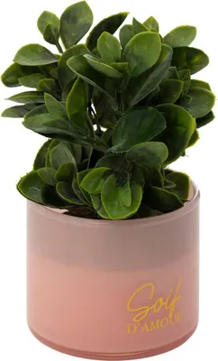 Produktbild von Künstliche topfpflanze "tayli" h18cm - Atmosphera créateur d'intérieur
