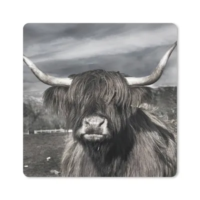 Produktbild von MuchoWow® Mauspad Mousepad Schottischer Highlander - Tiere - Hörner 30x30 cm - Mousepads - Maus Mat - Pad - Mausunterlage - Gaming