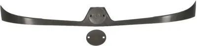 Produktbild von BLIC Scheinwerferleiste 6502-07-6010995P für RENAULT KANGOO (KC0/1)