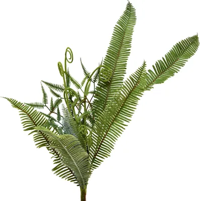 Produktbild von Kunstpflanze Dekofarn Grün 55cm Künstliche Zimmerpflanze
