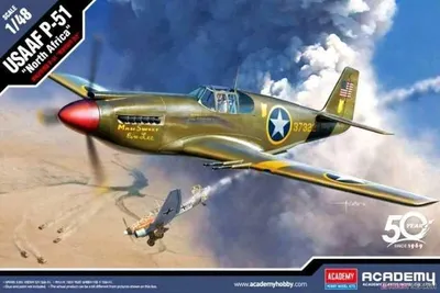 Produktbild von Modellbausatz Flugzeug 12338 – USAAF P-51 „North Africa“ (1:48)