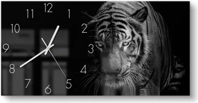 Produktbild von DEQORI Glasuhr 60x30 cm Zahlen 'Tiger auf der Pirsch' Wanduhr Glas Uhr Design leise