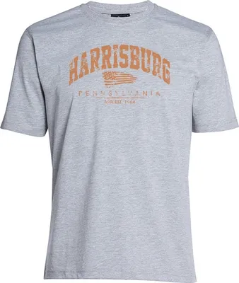 Produktbild von Übergrößen T-Shirt Harrisburg Orange AHORN SPORTSWEAR grey melange 3XL