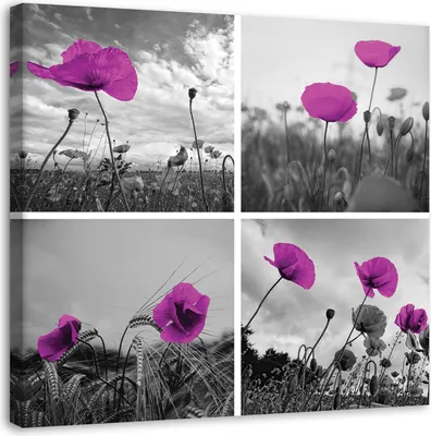 Produktbild von Leinwandbild lila mohnblumen 30x30 cm Feeby lila wandbild bereit zum aufhängen