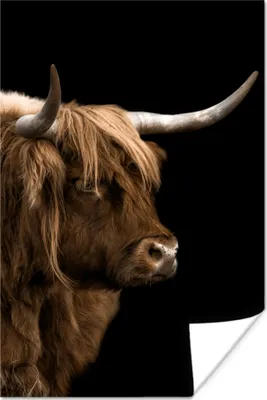Produktbild von MuchoWow® Poster Schottisches Hochlandrind - Fell - Tier 120x180 cm - Kunstposter