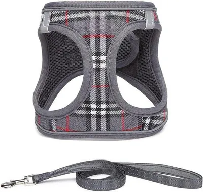 Produktbild von Famanu Hundegeschirr für kleine Hunde mit Leine - reflektierendes, atmungsaktives Geschirr - für kleine bis mittelgroße Hunde (S - Grau kariert)