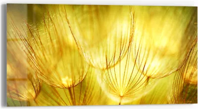 Produktbild von DEQORI Glasbild Echtglas 60x30 cm 'Goldener Hauch' Wandbild Bild modern Deko