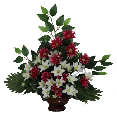 Produktbild von DRW Chrysanthemen-Blumenzentrum, Weiß, 62 x 60 cm