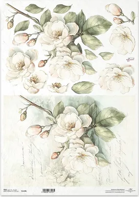 Produktbild von Reispapier Decoupage Bastelpapier für Decoupage A3 ITD R1430L Apfelblüten