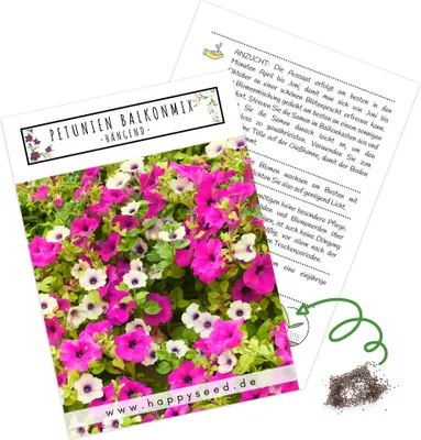 Produktbild von Blumensamen Balkonkasten Mischung - Farbenfrohe Blumen mit langer Blütezeit ideal für Ihren Balkon, Garten & Blumenwiese (Petunien Mix)
