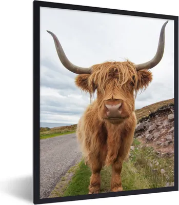 Produktbild von MuchoWow® Gerahmtes Poster Schottischer Highlander - Hörner - Berg 60x80 cm - Poster mit Schwarzem Bilderrahmen Wandposter Rahmen Foto Bilder - Premium - Wanddeko Wohnzimmer