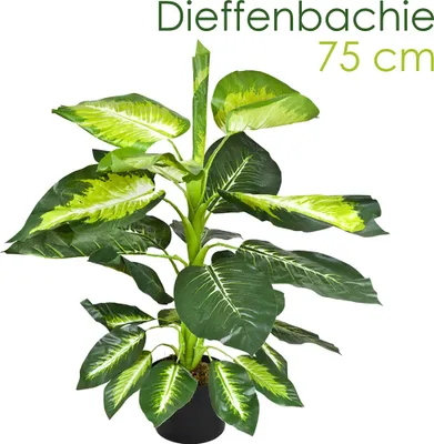 Image de Dieffenbachia Plante Artificielle Artificiel Plastique 75 cm Domaine Interne Decovego