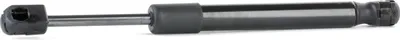 Produktbild von RIDEX 219G0962 Gasfeder Heckklappendämpfer für BMW 5 Touring (E61) 253mm