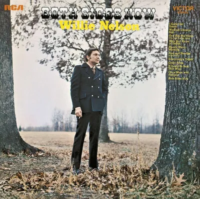 Obrázek produktu pro Willie Nelson: Both Sides Now -   - (CD / Titel: Q-Z)