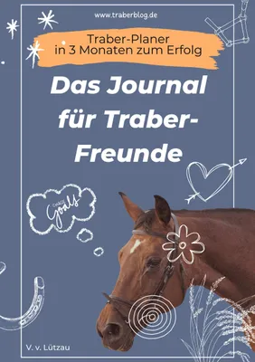 Produktbild von Traber-Planer - in 3 Monaten zum Erfolg